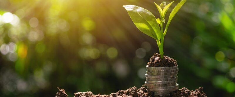 Coins with plant on top put on the soil in green nature background for business growth concept.