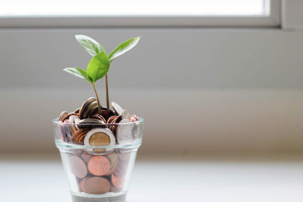 Glass containing coins and a green shoot