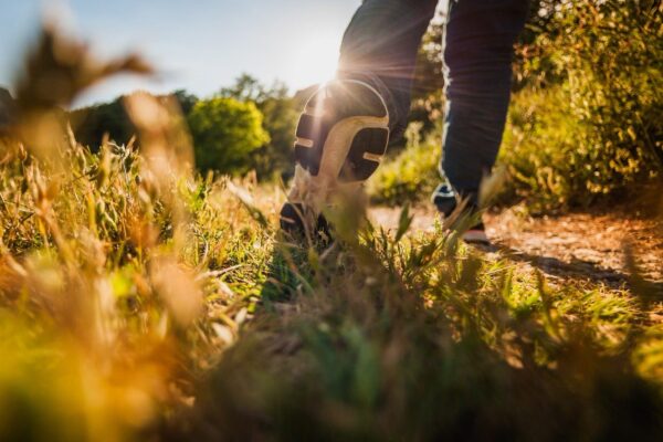 Walking in the Light