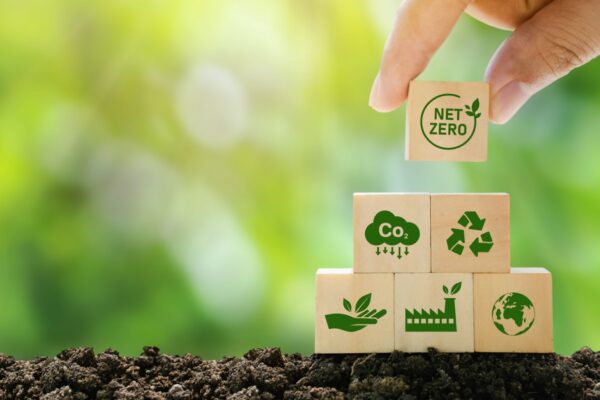 Net Zero Quick Wins Grant