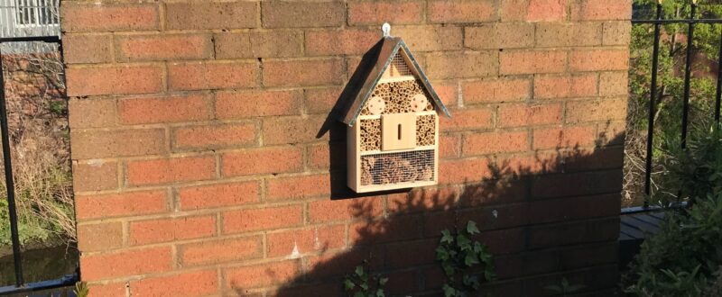 Church House bug hotel
