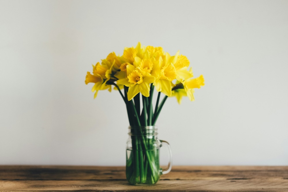 yellow daffodils in a glass mug on a wooden table