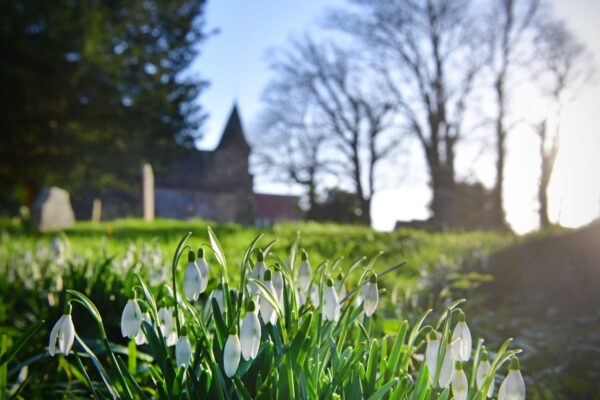 church with snowdrops in foreground