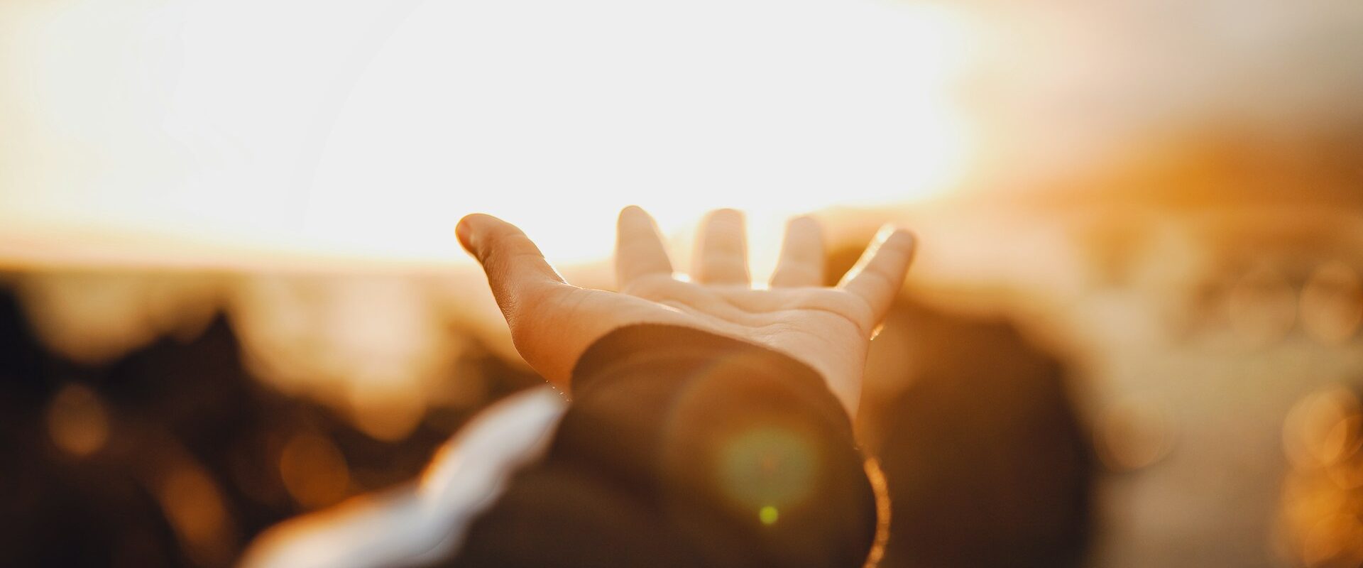 hand raised to the sun